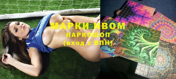 прущие грибы Абаза