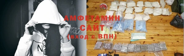 прущие грибы Абаза