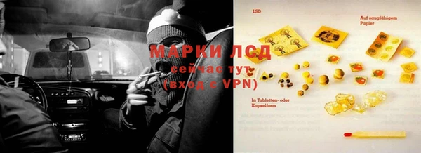 прущие грибы Абаза