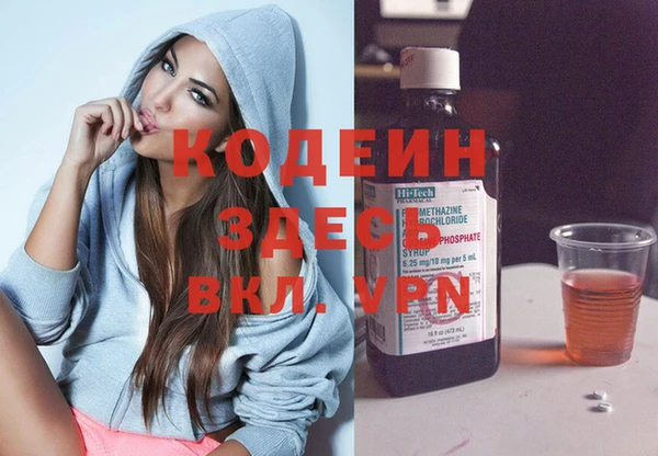прущие грибы Абаза
