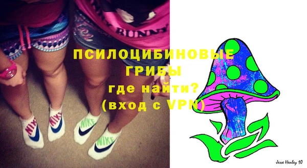 прущие грибы Абаза