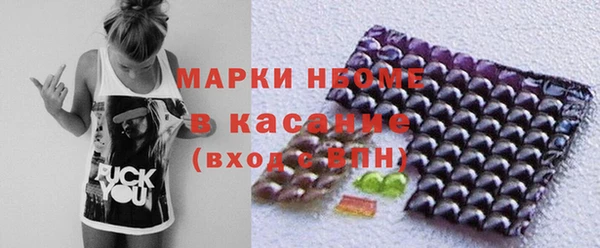 прущие грибы Абаза