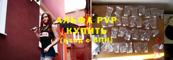 шишки Абинск