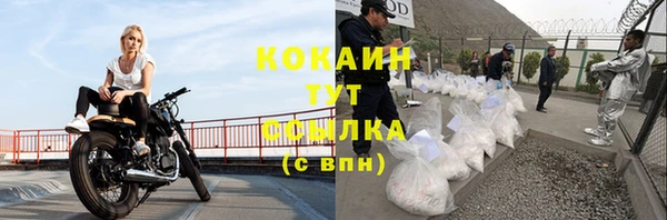 прущие грибы Абаза