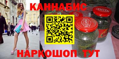 МДПВ Кингисепп