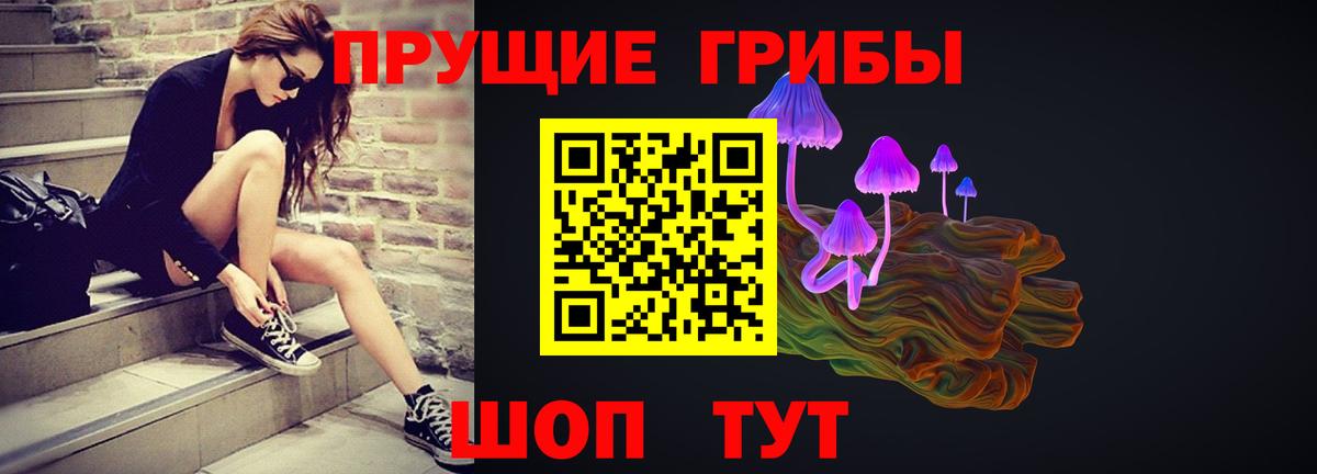 Миллерово  Псилоцибиновые грибы мицелий  закладки  Вход с VPN 